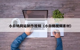 长沙小白杨网站制作视频（小白杨视频素材）